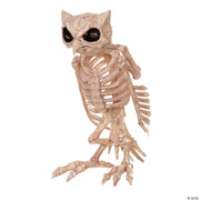 skeleton-owl