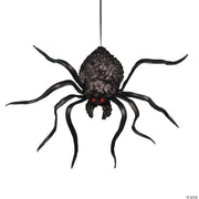 hanging-shaking-spider