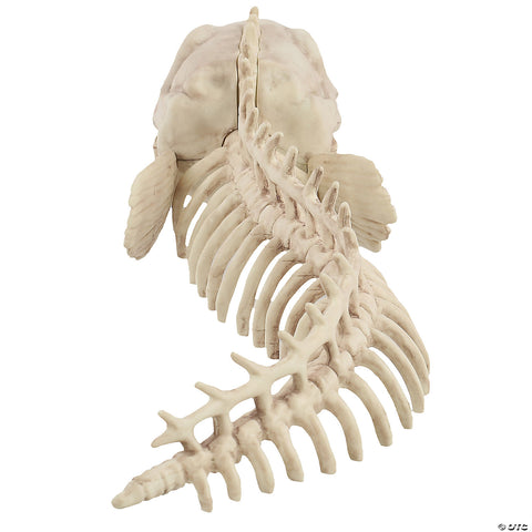 Skeleton Eel Prop | Horror-Shop.com