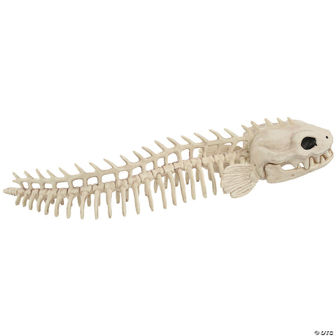 Skeleton Eel Prop | Horror-Shop.com
