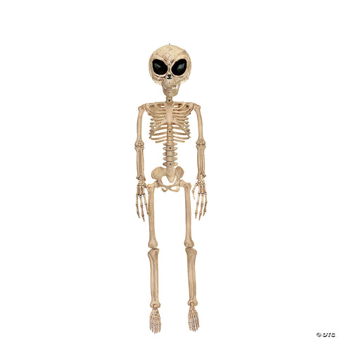 ALIEN SKELETON BONE COLOR 37IN