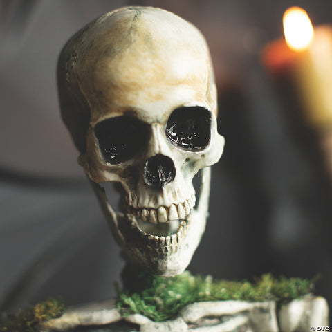 9 3/4" x 14 3/4" Animated Mossy Skeleton Tabletop Halloween Decoration | Horror-Shop.com