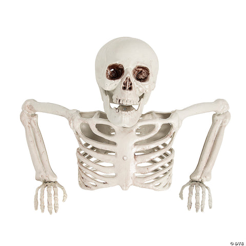 15 3/4" x 10 3/4" Tabletop White Plastic Half Skeleton Halloween Decoration | Horror-Shop.com