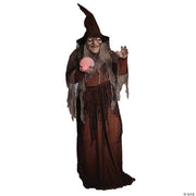 68-digiteye-soothsayer-witch-animated-prop