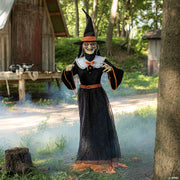 animated-whimsical-witch