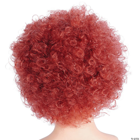 Bargain Afro Wig | Horror-Shop.com