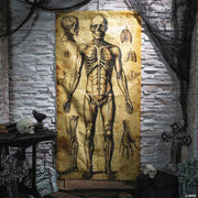 6-ft-6-3-4-human-anatomy-drawings-door-curtain-halloween-decoration