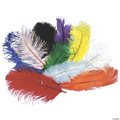 Ostrich Plume