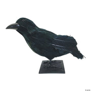 black-feathered-raven-prop