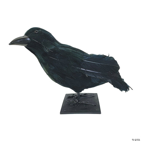 Black Feathered Raven Prop