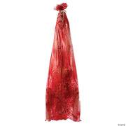 72-bloody-body-in-bag