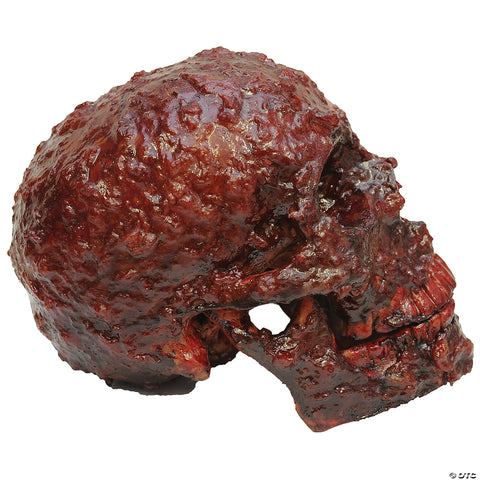 Blood Scab Resin Skull Prop | Horror-Shop.com