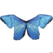 blue-morph-wings