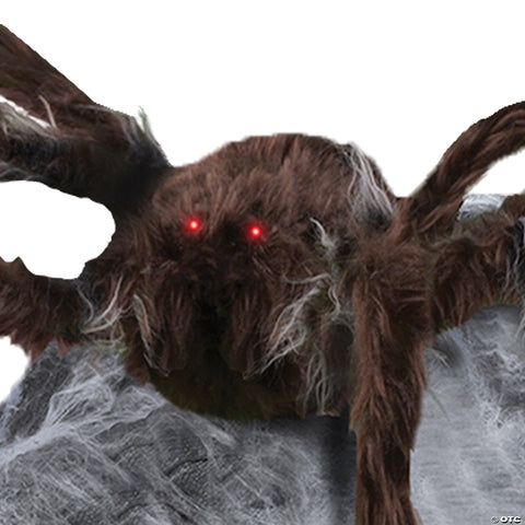 Jumping Spider Brown | Horror-Shop.com