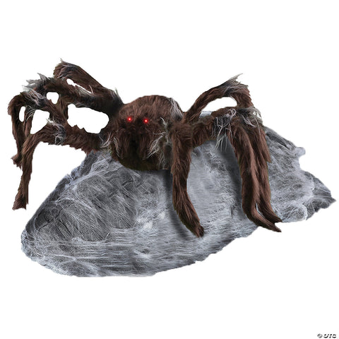 Jumping Spider Brown | Horror-Shop.com