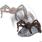 jumping-spider-brown
