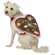 chocolate-box-dog-costume