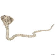 skeleton-cobra