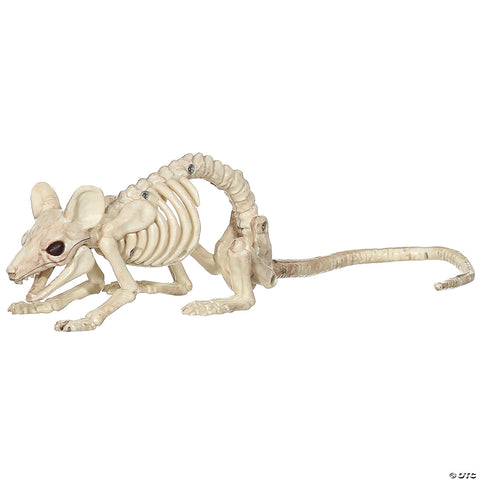 Mouse Crawling Skeleton