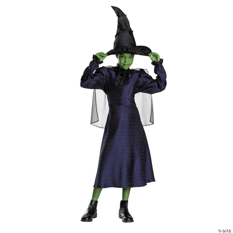 Kids Classic Wicked™ Elphaba Black & Purple Dress Costume - Large 10-12