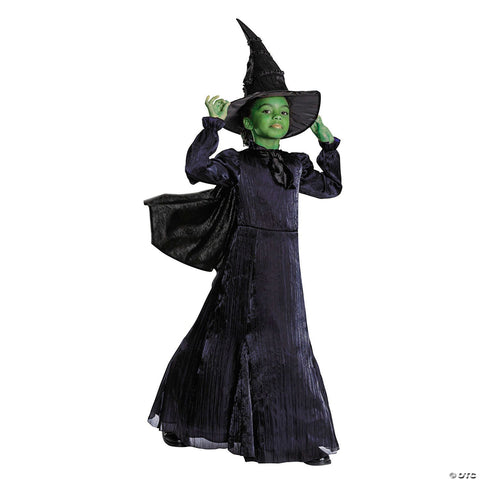 Kids Prestige Wicked™ Elphaba Black & Purple Dress Costume - Small 4-6