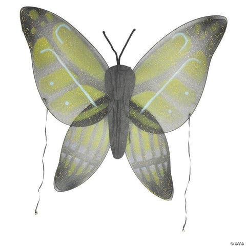 Butterfly Wings