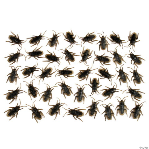 Cockroaches - Bag of 48 | Horror-Shop.com