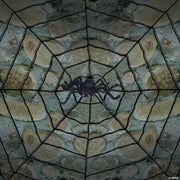 giant-spider-web-with-spider