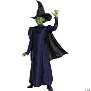girl-s-deluxe-wicked-elphaba-purple-dress-costume-large-10-12