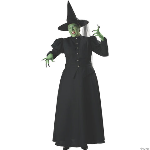 Women's Plus Size Witch Costume