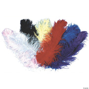 jumbo-ostrich-plume
