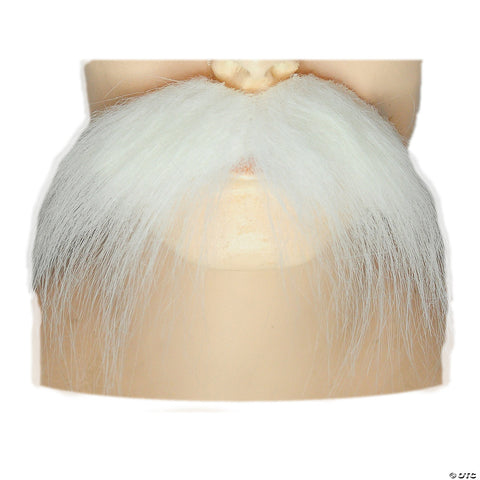 AB1613 Mustache