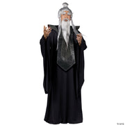 sensei-master-costume