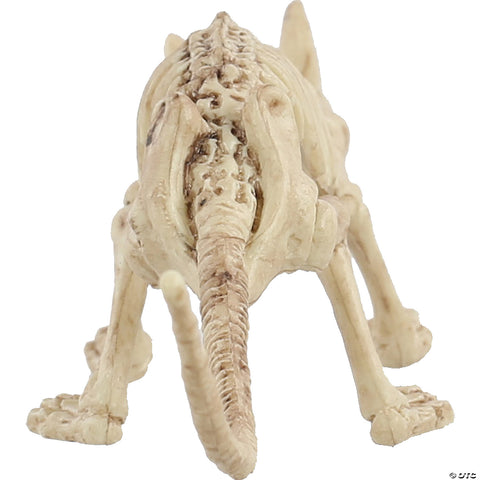 Mini Skeleton Rat | Horror-Shop.com