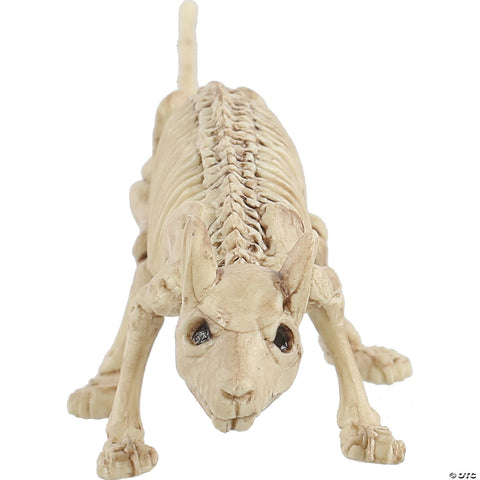 Mini Skeleton Rat | Horror-Shop.com