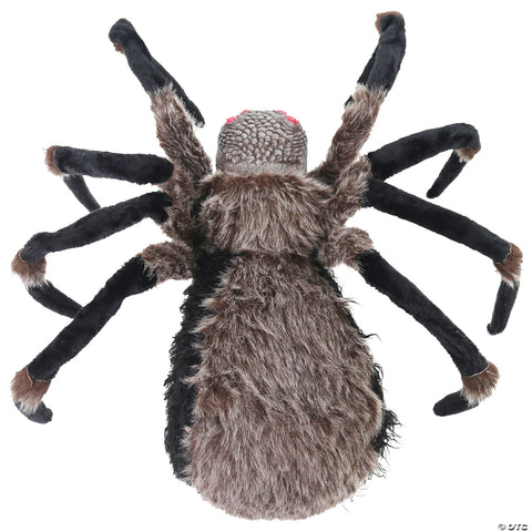 53" Light-Up Black Spider