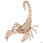 scorpion-skeleton