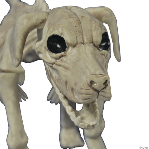 Beagle Bonez