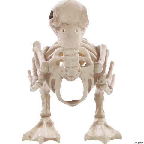 Skeleton Duck Bonez Prop | Horror-Shop.com