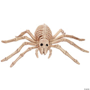 spider-skeleton