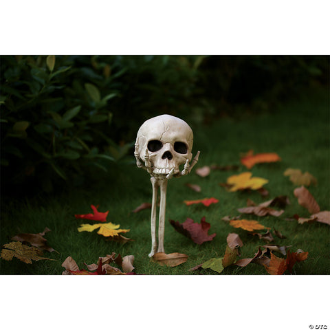 Skull in Hand Groundbreaker