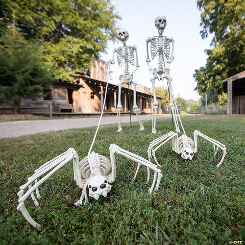 Skeleton Spider Prop | Horror-Shop.com