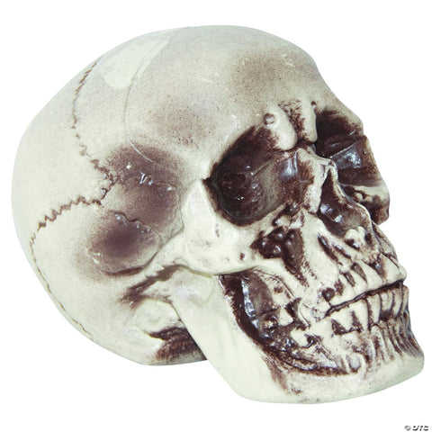 7" Realistic Skull | Horror-Shop.com