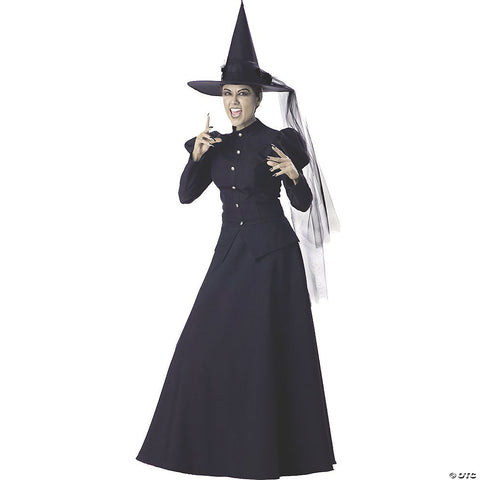 Women's Wicked Witch Deluxe Costume - Large | Horror-Shop.com