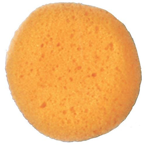 Sponge Cosmetic