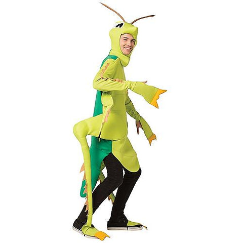 Grasshopper Costume