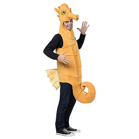 Seahorse Costume