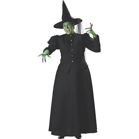 Women's Plus Size Witch Costume