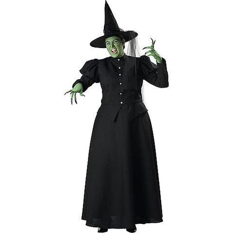 Women's Plus Size Witch Costume | Horror-Shop.com