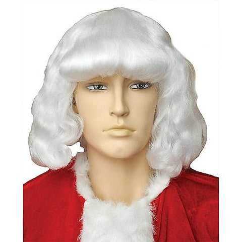 Santa 004 Wig